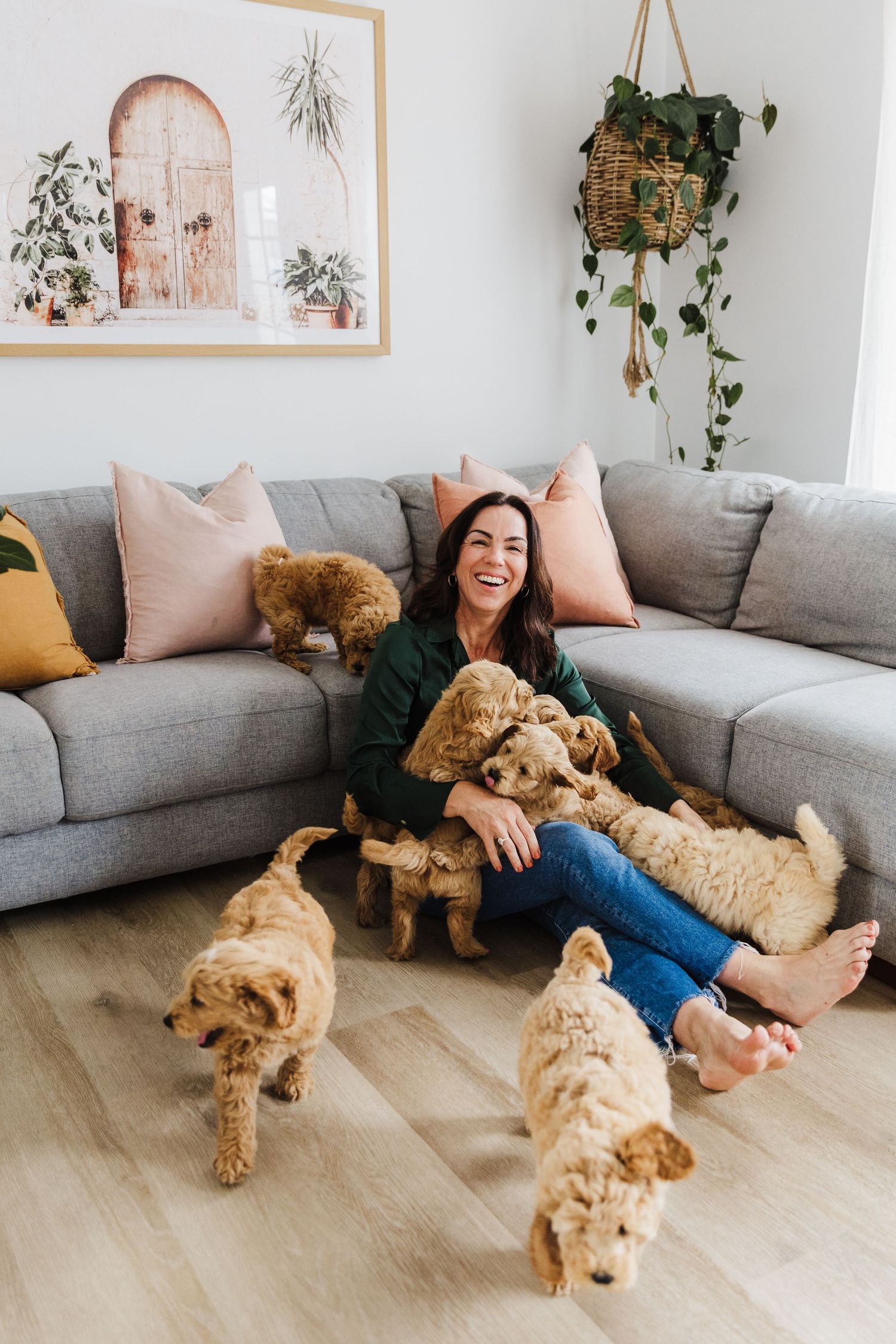 Person lounging on gray sectional sofa surrounded by multiple golden retriever puppies in modern living room.