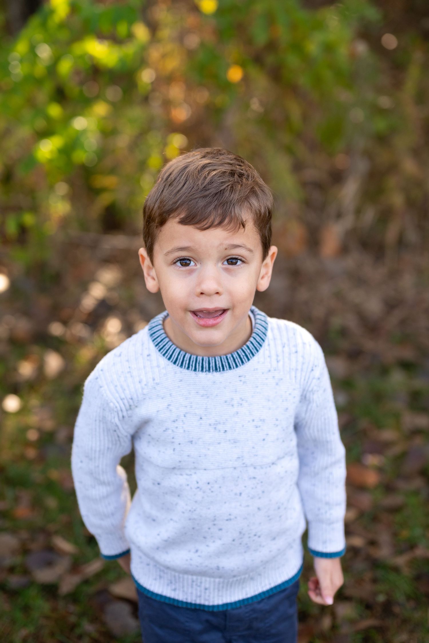 Fall family photos in St. Louis, MO