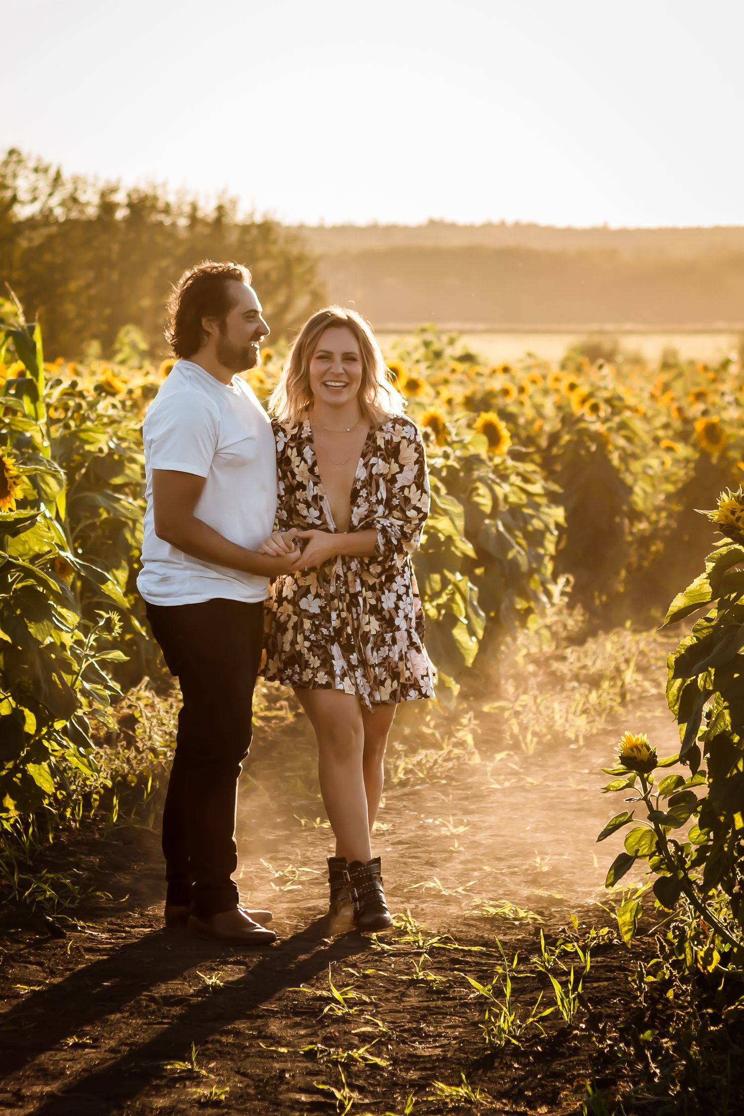 Cute golden hour couples photos at Bowden's sunflower fields by Calgary photographer Love & Sunshine Photography.