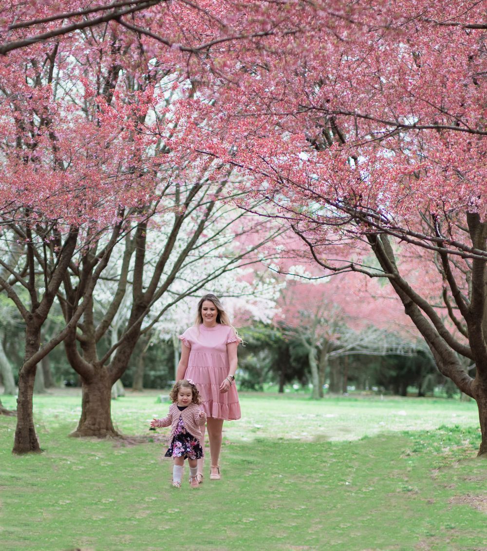 spring mini session