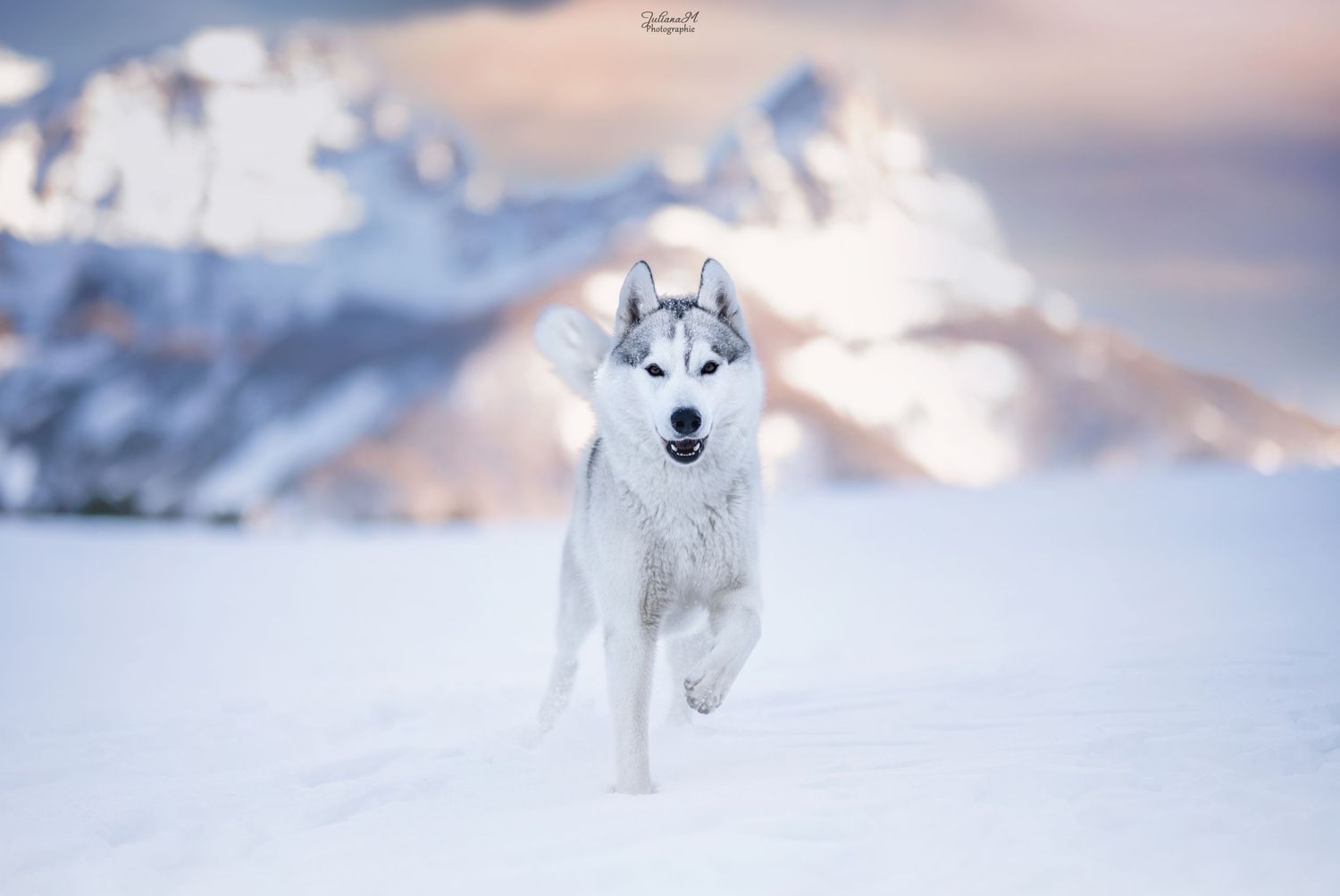 Déplacement à la neige ponctuels