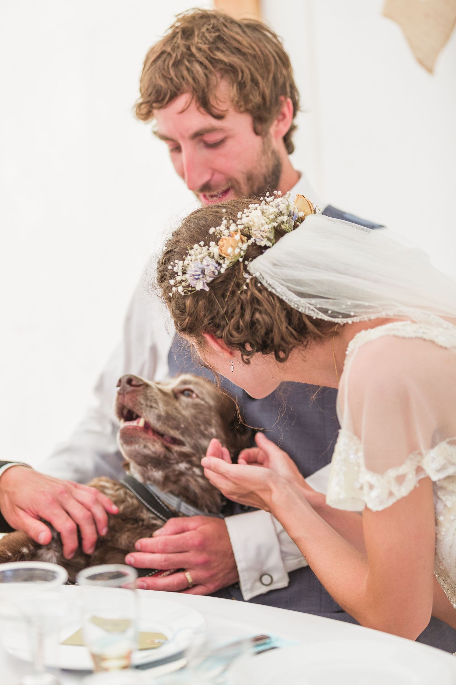 Hayley Elizabeth Photography Dogs at weddings bride and groom fussing spaniel after speeches cotswolds festival wedding