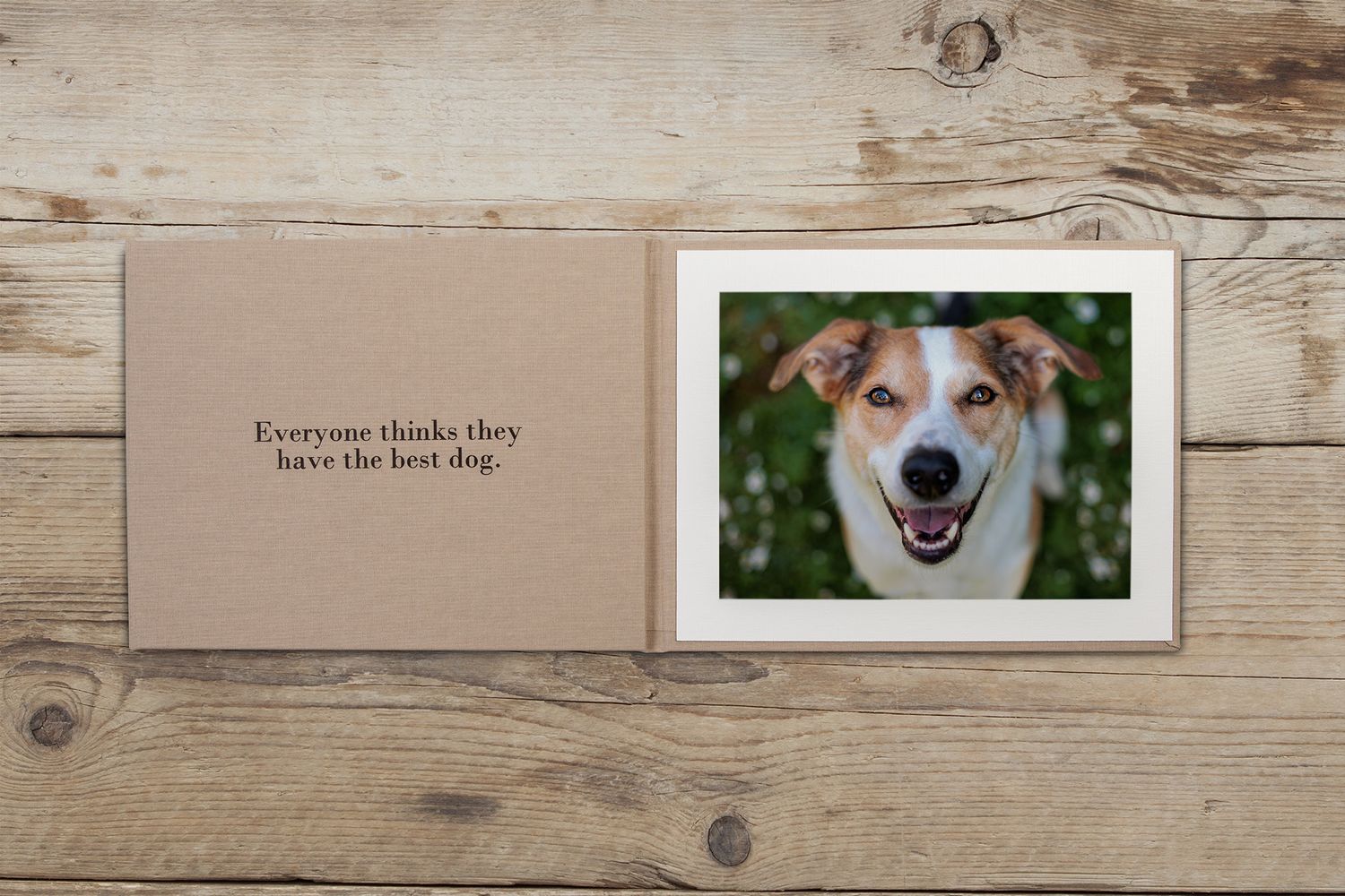 Happy terrier dog portrait in an open book with text on craft paper.