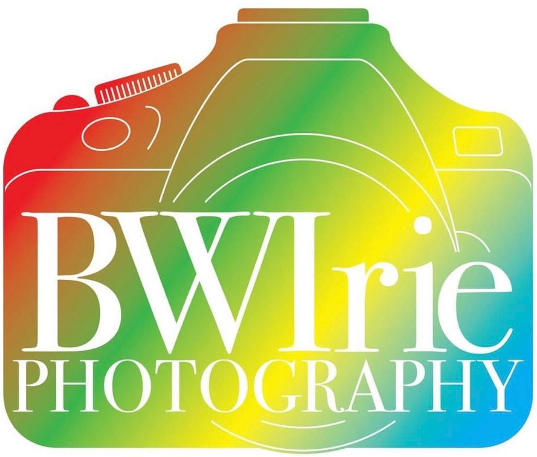 Colorful rainbow gradient logo design for BWIrie Photography featuring a DSLR camera silhouette.