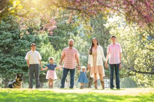 Happy family with children and dog walking hand in hand under blooming pink trees in sunny park.