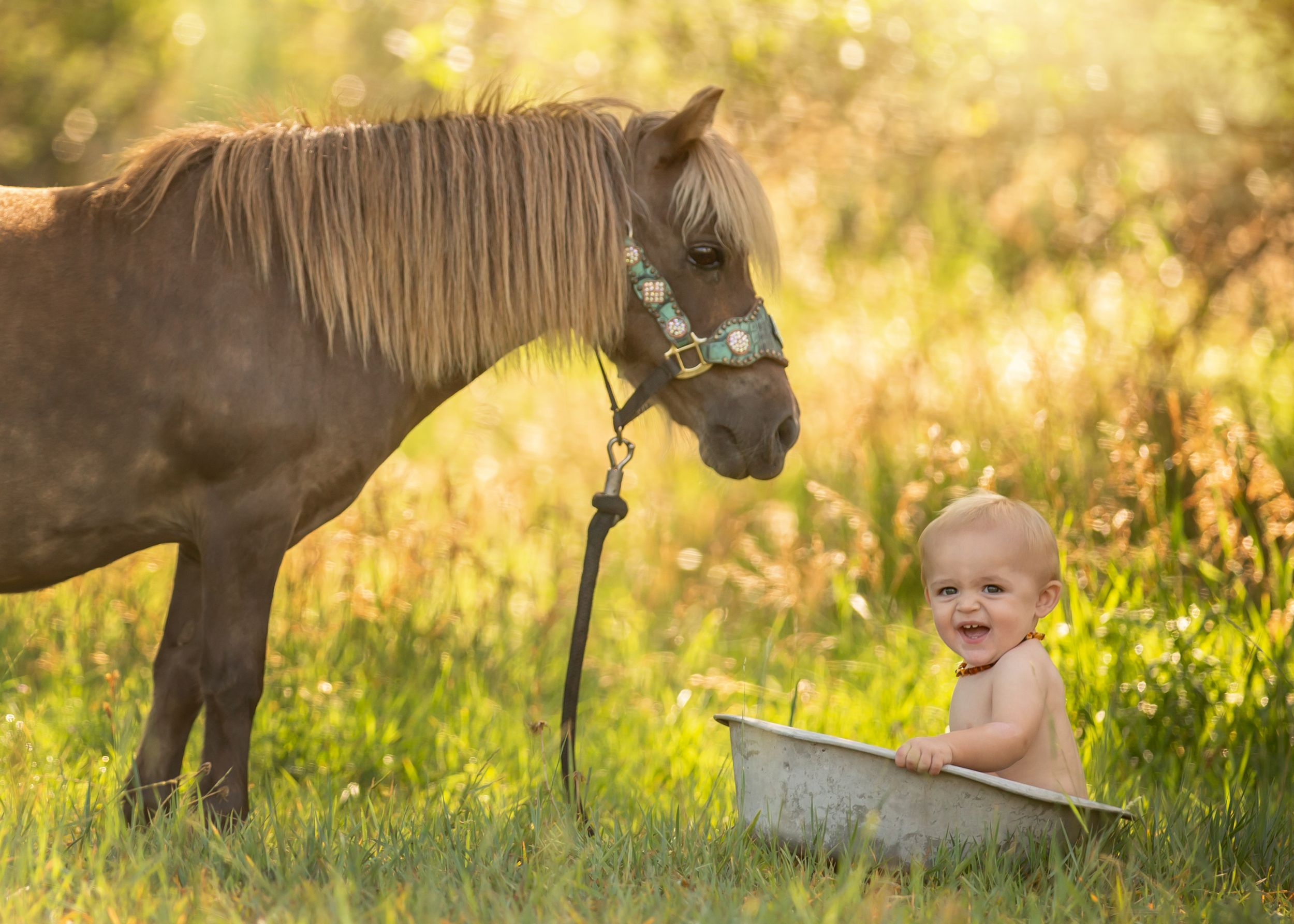 A smiling baby sits in a vintage metal tub outdoors next to a gentle tan horse in a sunny meadow.