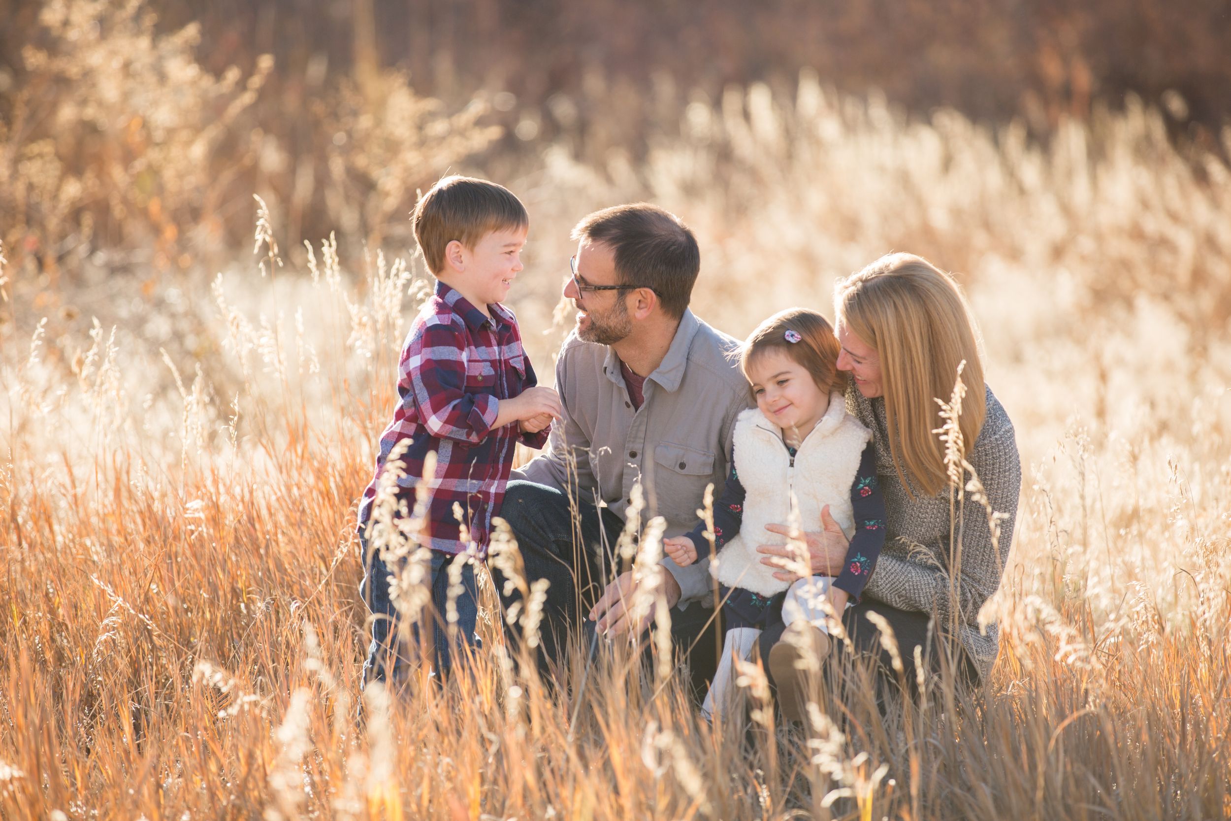 Family of four sitting together in a sunlit golden field of tall dry grass.