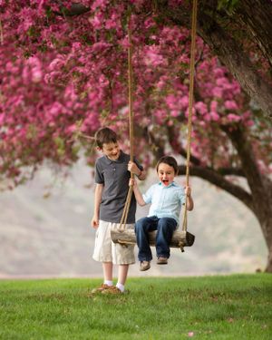 Two boys playing on a rope swing under a vibrant pink flowering tree on green grass.