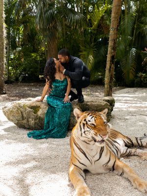 Romantic couple in formal wear poses with majestic tiger in tropical garden setting.