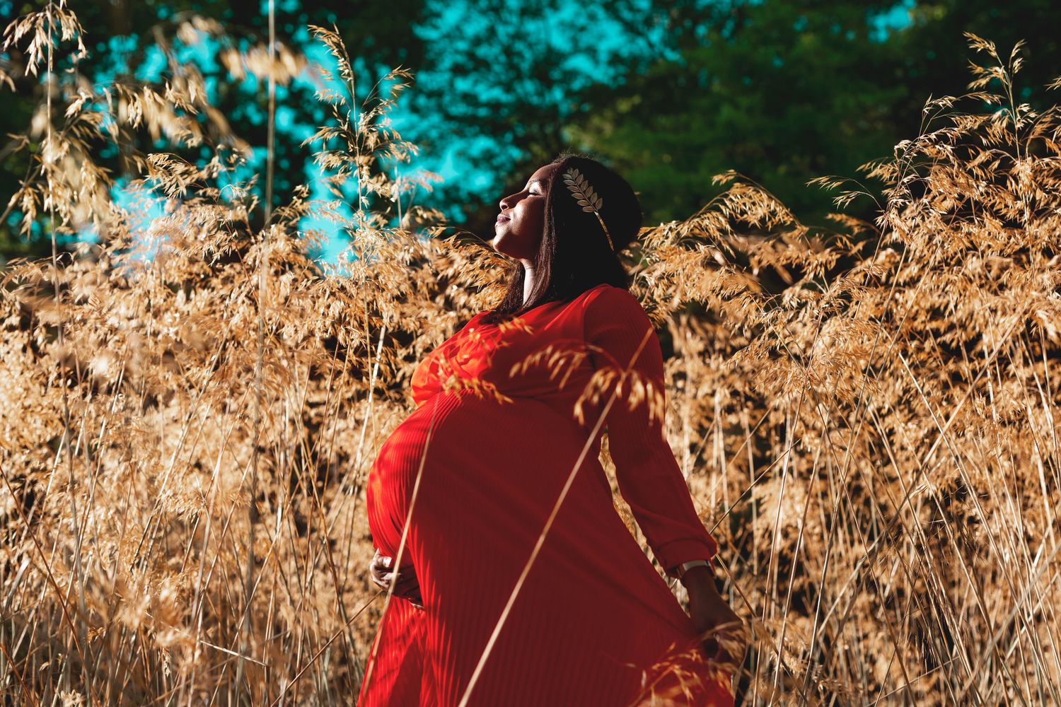 Person in a red coat standing among golden dried grasses with turquoise background.