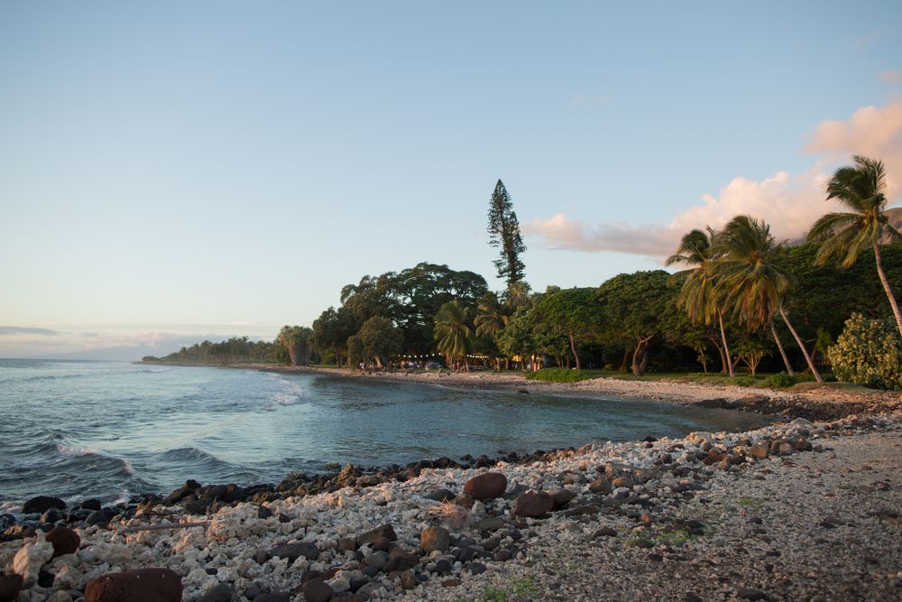 Scenic Hawaiian coastline with palm trees, rocky shore, and calm ocean waters at dusk at Olowalu Plantation House pier.