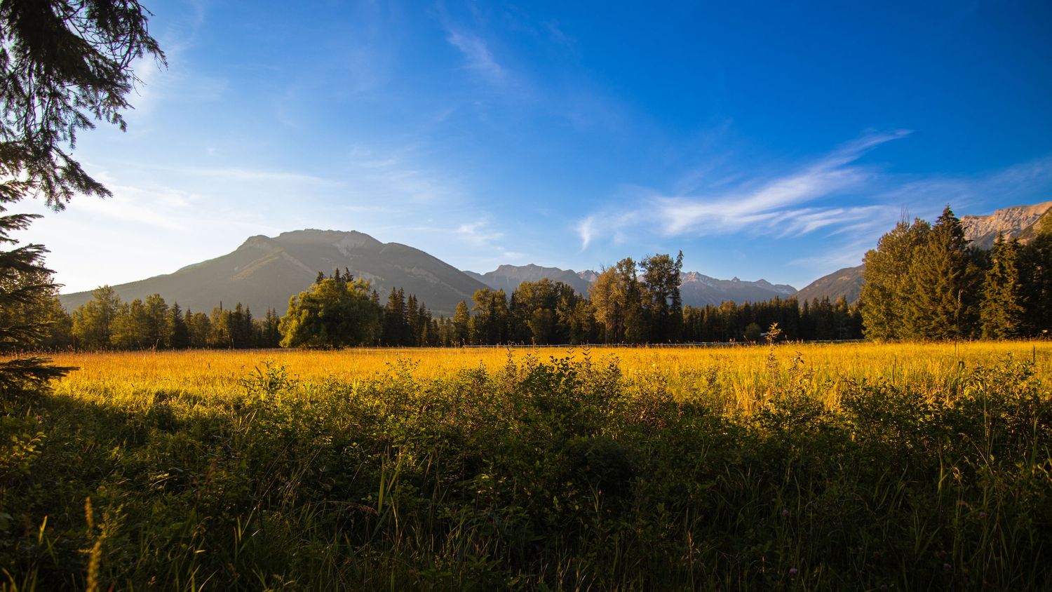 A beautiful summer picture in Golden, Brittish Columbia, Canada