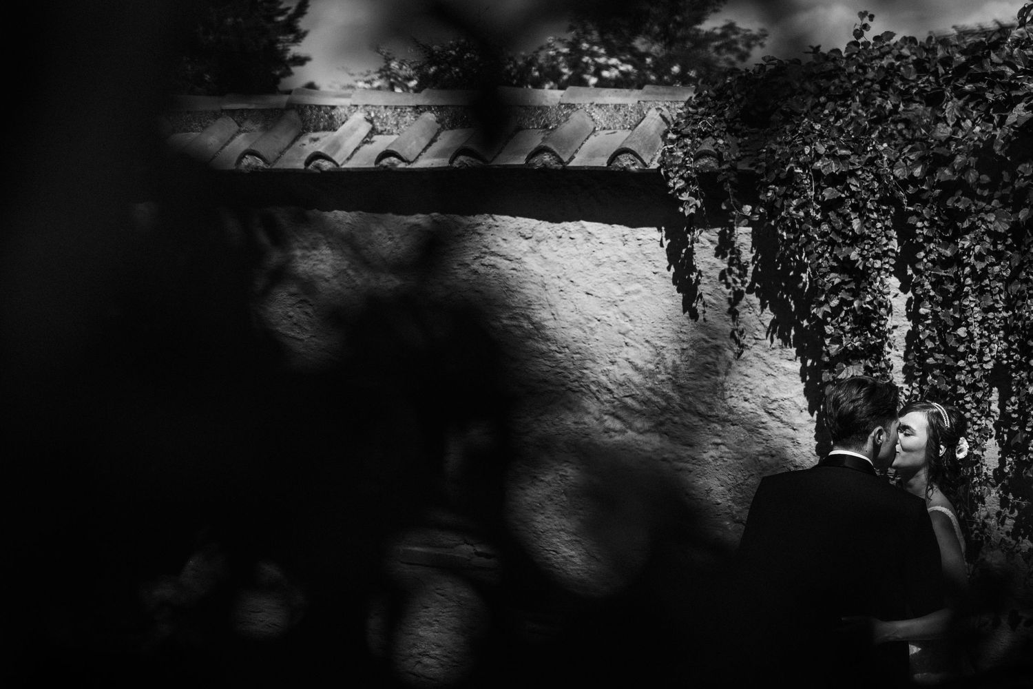 Artistic black and white silhouette of a couple against dramatic shadows and ivy.