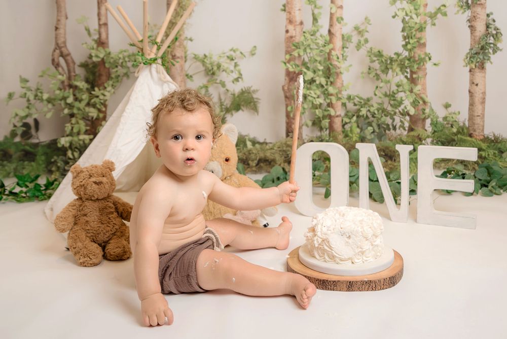 Woodland Teddy Bear Photoshoot Cake Smash