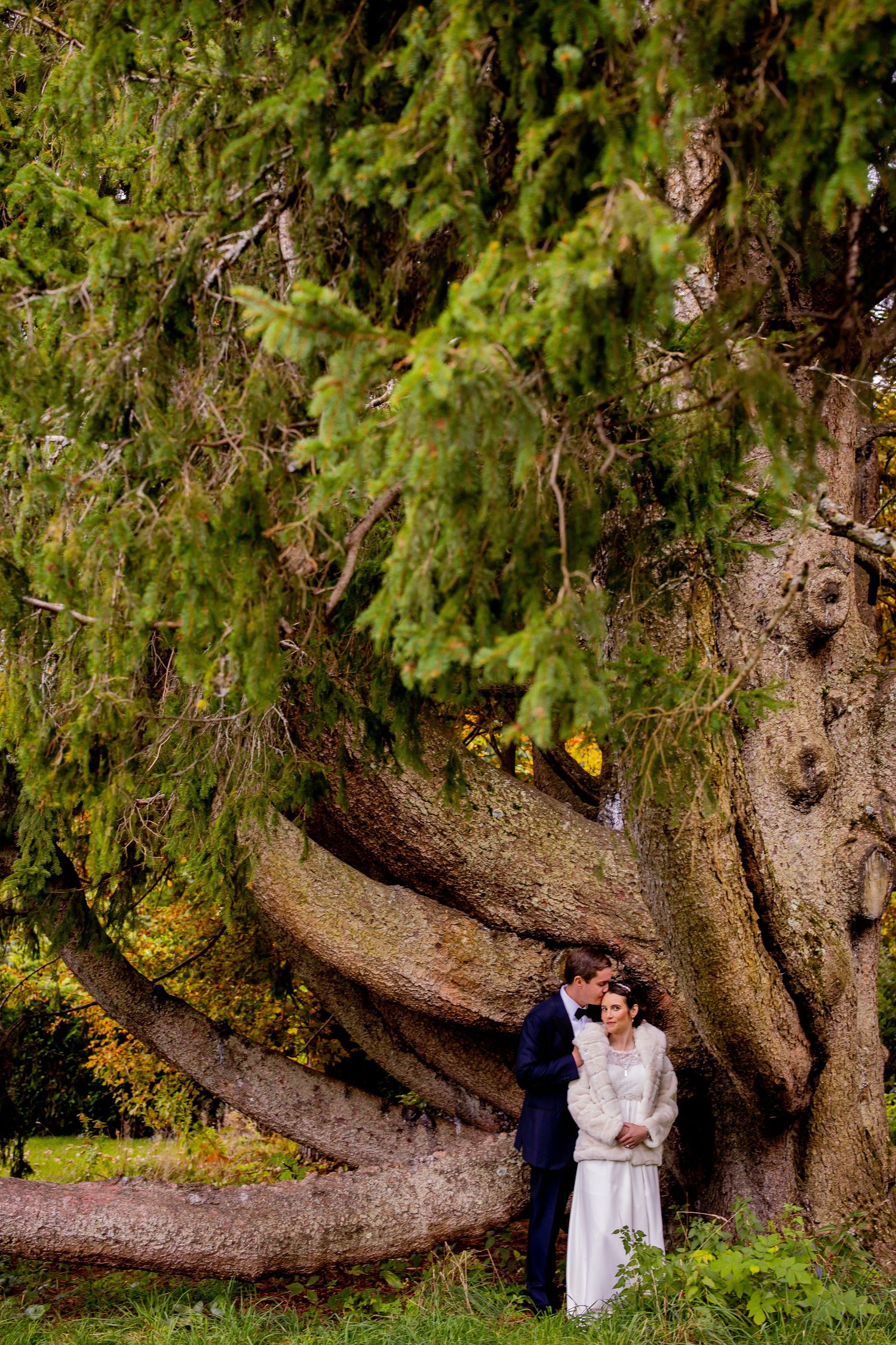 A couple poses beneath a massive ancient tree with sprawling branches in a park setting.