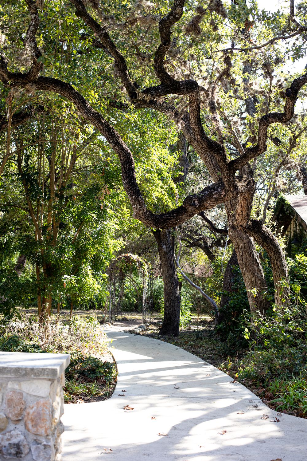 Maternity Photography at The Veranda in San Antonio