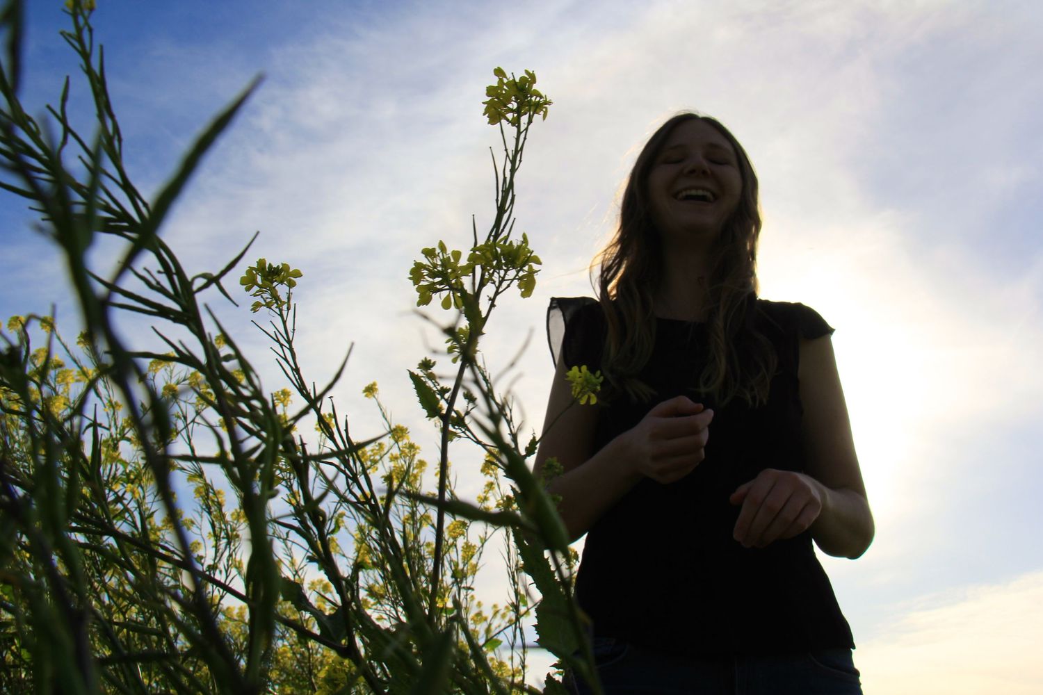 Silhouette of person standing among tall wildflowers against cloudy sky at sunset.