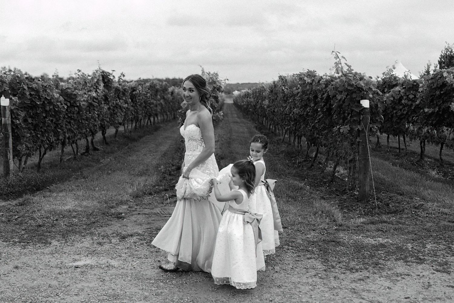 toronto niagara wedding photography winery vineyard candid
