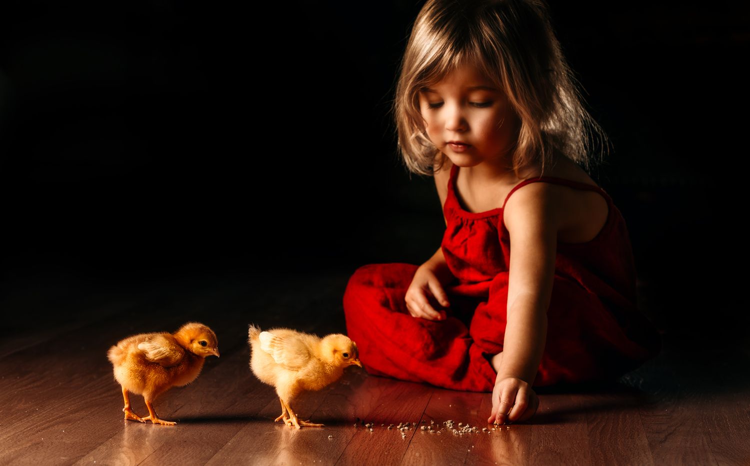 Child photography