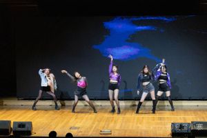 Dance group performing synchronized movements on wooden stage floor.