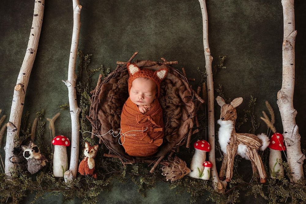 Enchanted forest themed newborn photo with birch trees, mushrooms and woodland creatures.