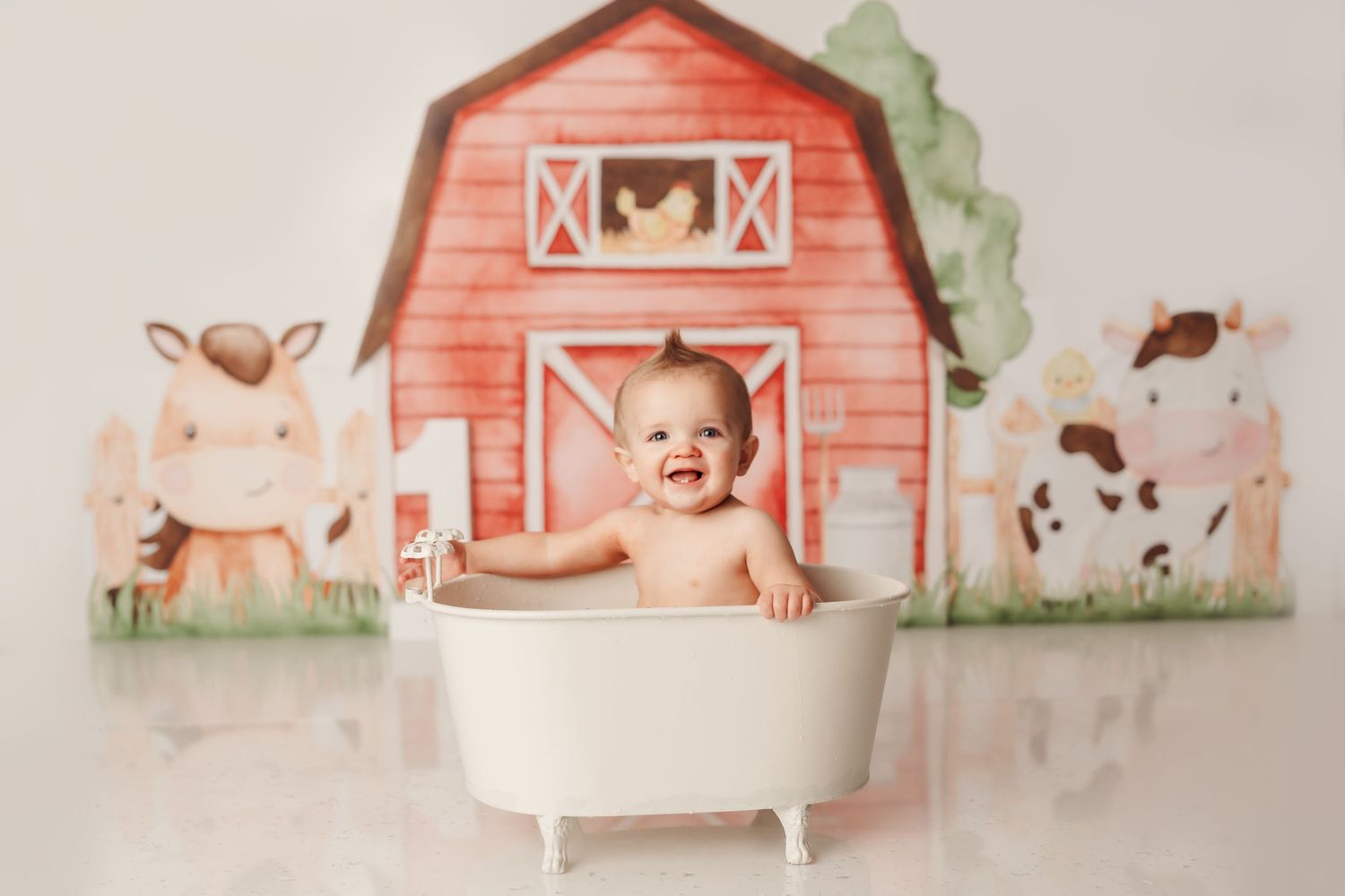 Tulsa cake smash photographer barnyard bash tulsa baby photographer