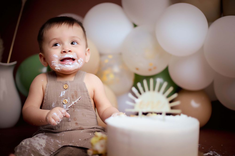 St Louis Illinois Family Photographer