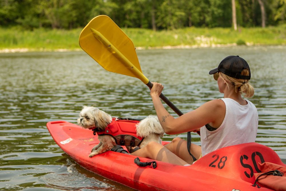 Kayaker and dog on the Des Moines River with Seven Oaks Recreation.