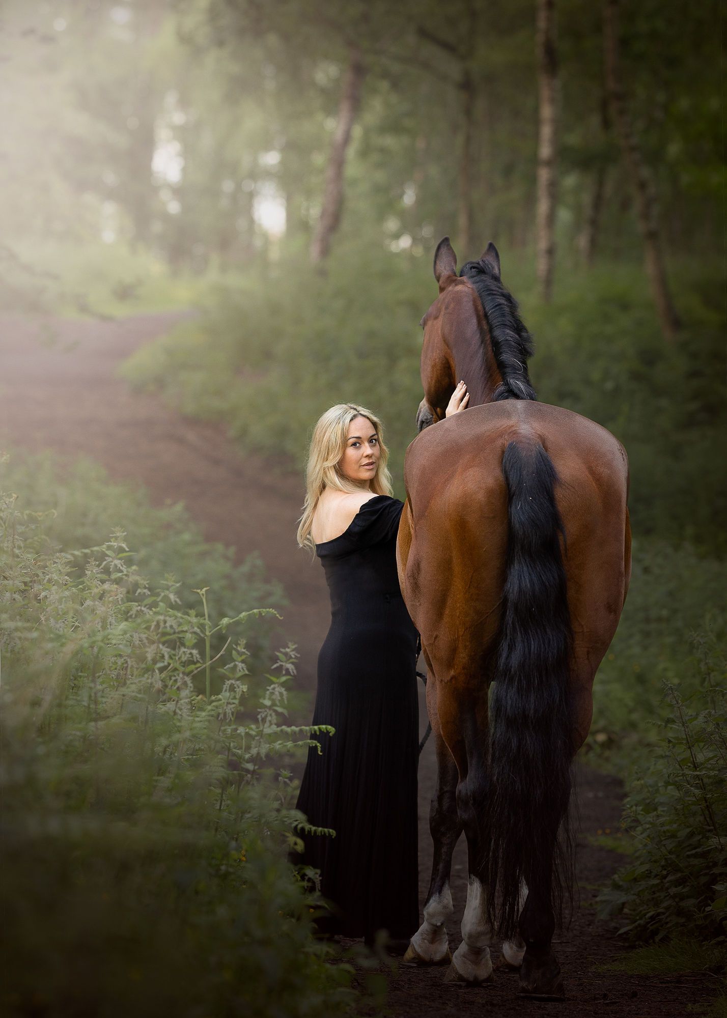 delamere forest equine cheshire photography