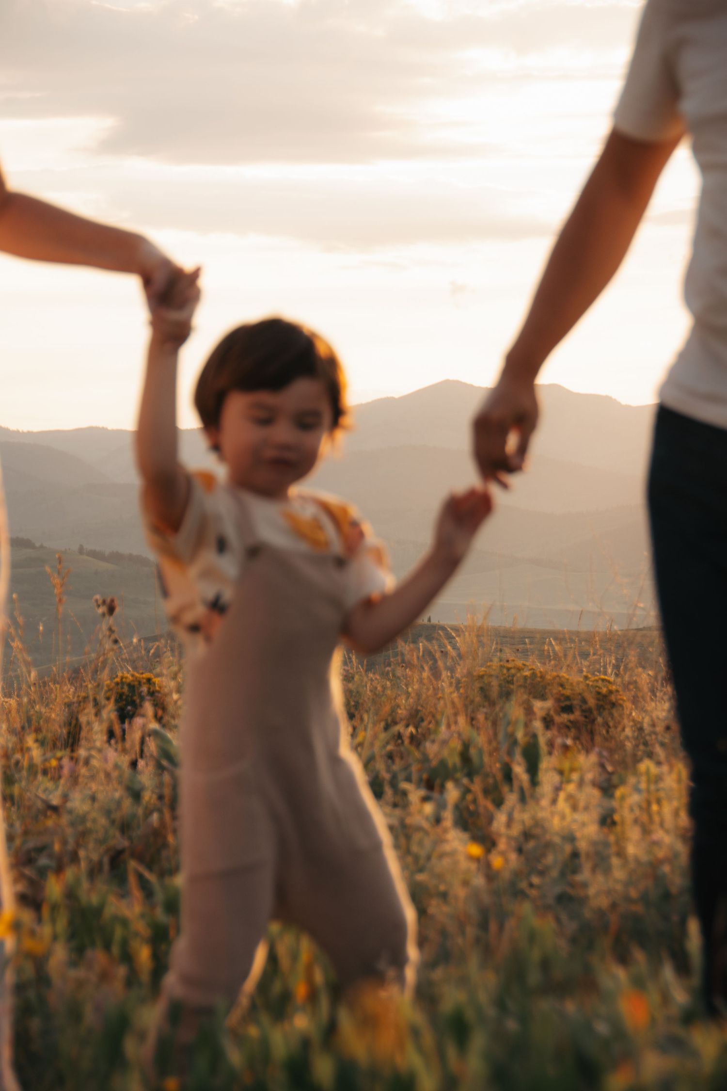 Jackson Hole Wyoming  family photographer