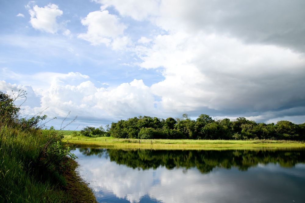 Tranquil lake reflecting clouds and trees on a summer day.