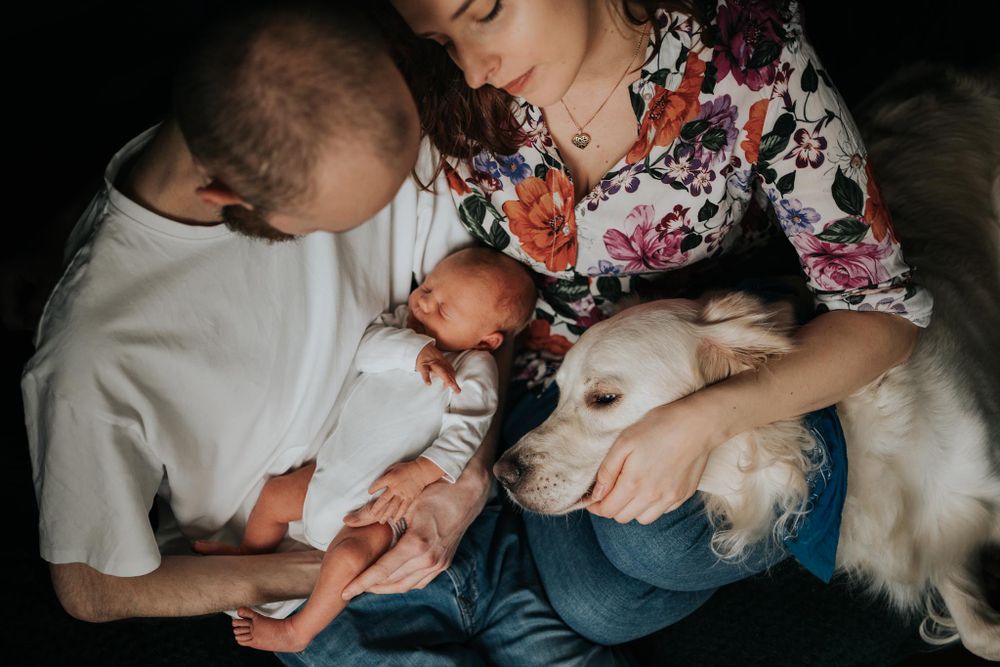 noworodek, mama, tata i pies - sesja domowa Kraków