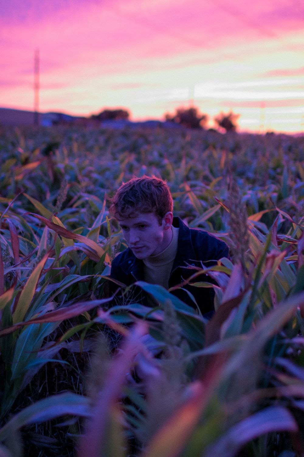 Silhouetted person crouching among tall corn stalks during a colorful sunset.