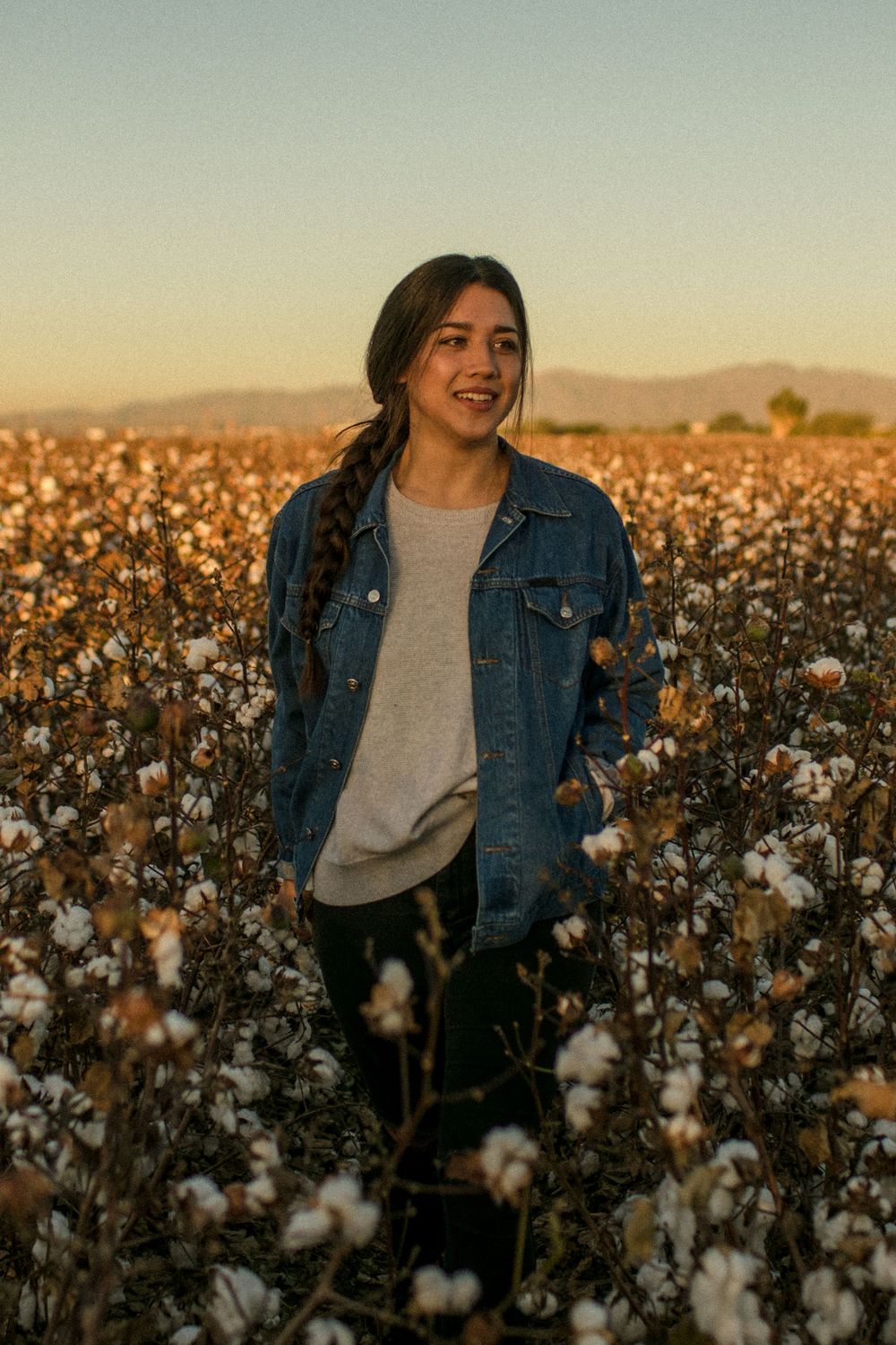 Person in denim jacket standing in cotton field during golden sunset.