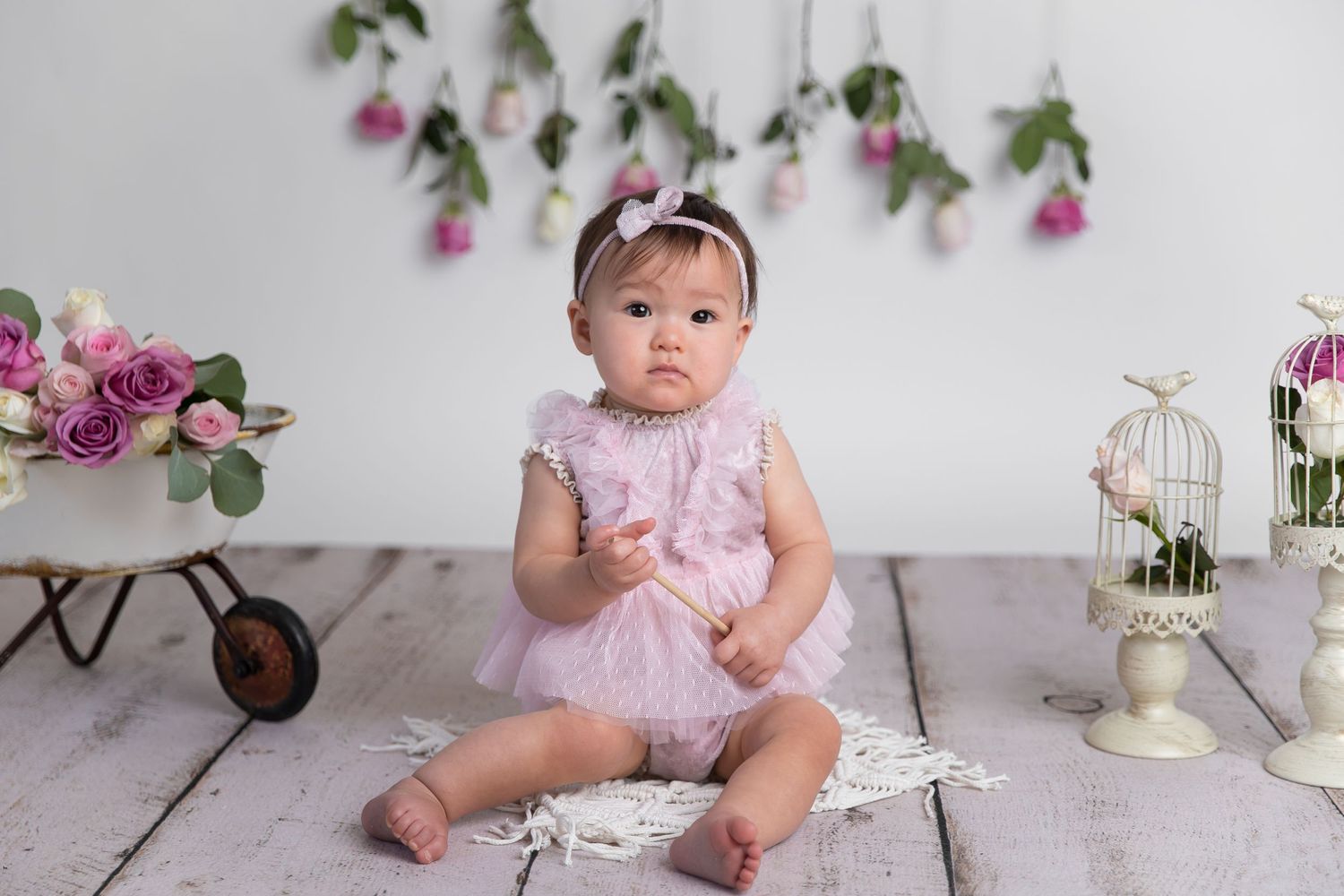 charlotte nc cake smash photographer