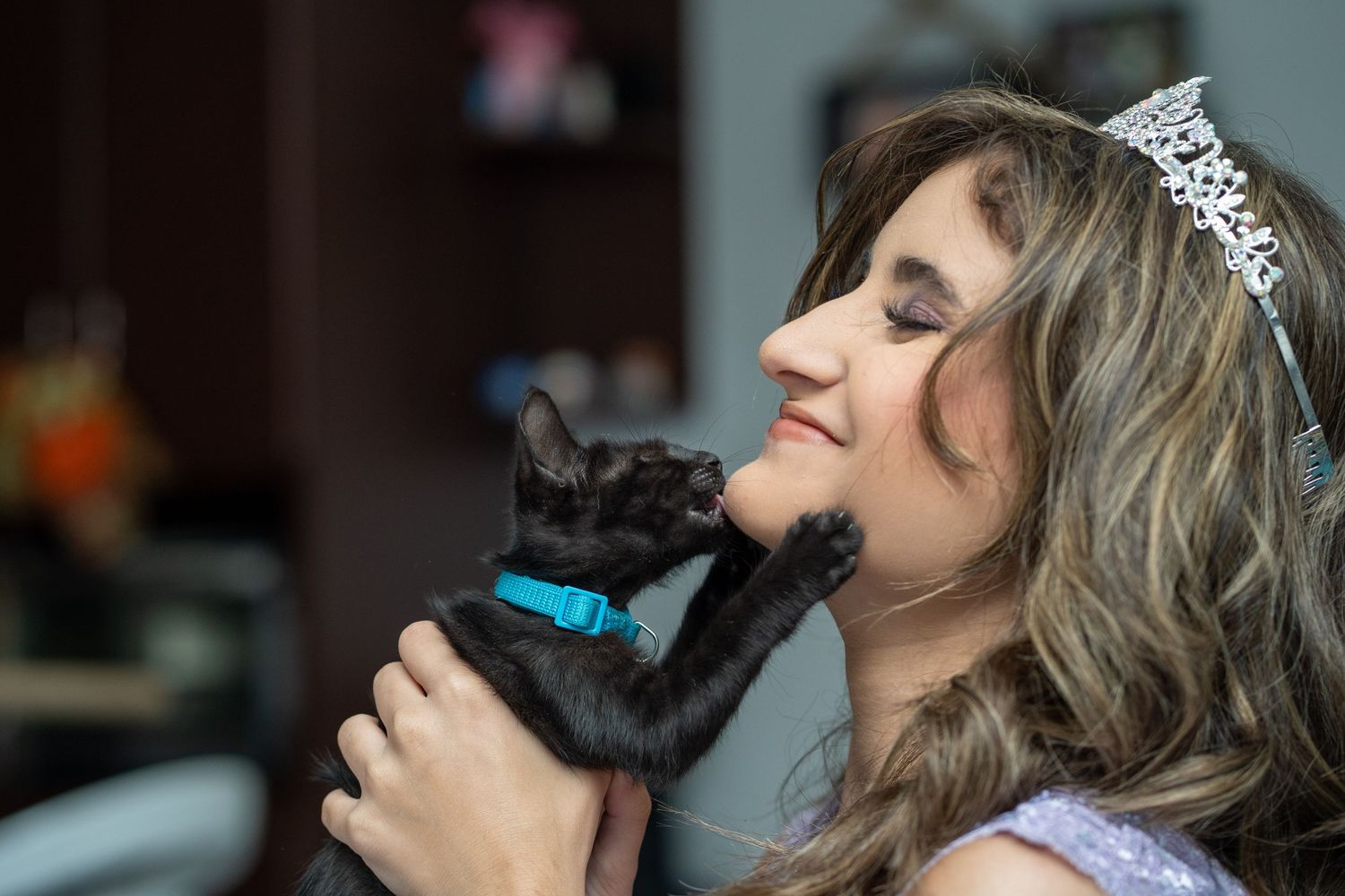 Person wearing tiara holds and kisses small black kitten with blue collar.