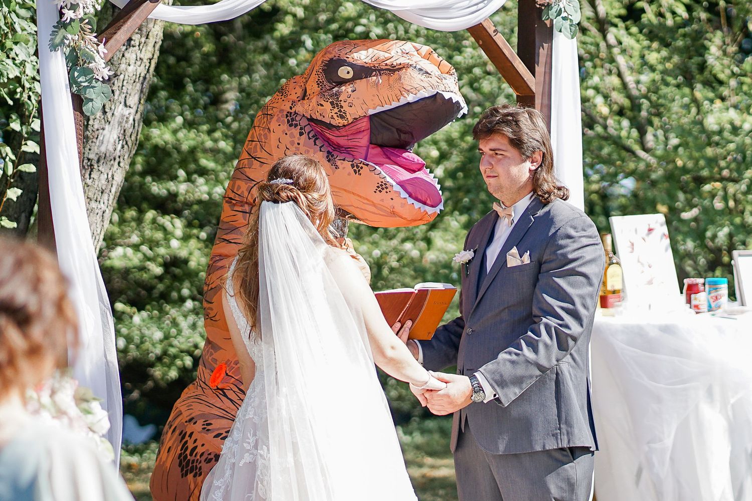 Wedding at Racine Zoo, Racine Wedding Photographer, Zoo Wedding, Wedding at Roma Lodge, Wedding Photos Racine
