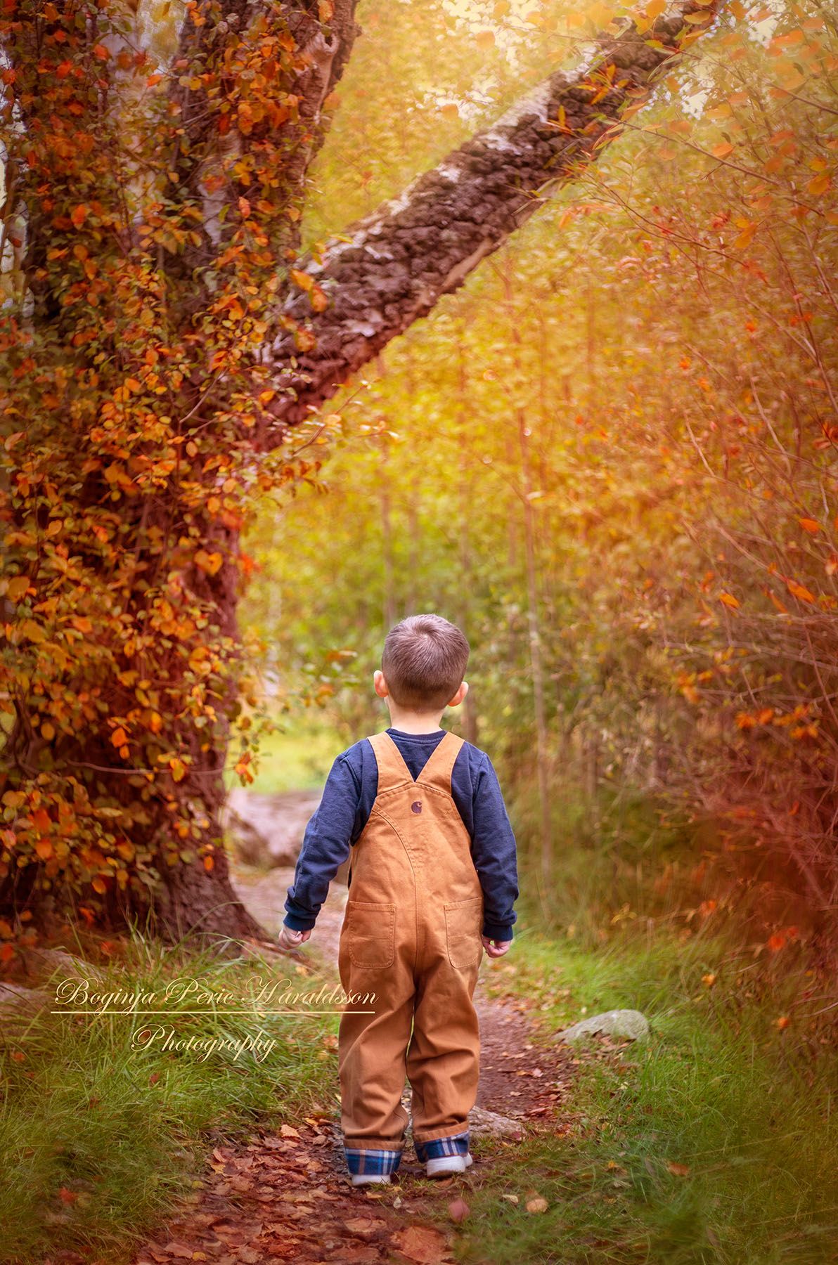En pojke tittar mot skogen. Det är höst
