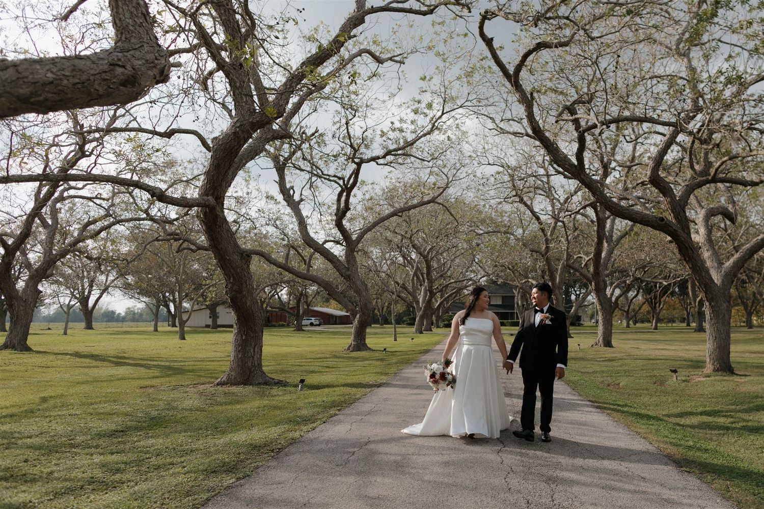 Newlyweds walk down a serene path lined with bare trees in a peaceful park setting.