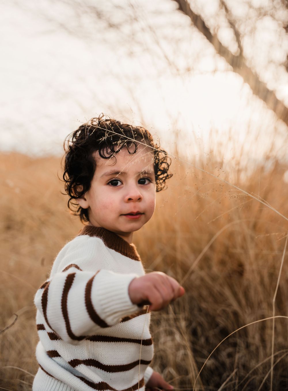 Toddler in striped sweater plays in golden field during sunset.