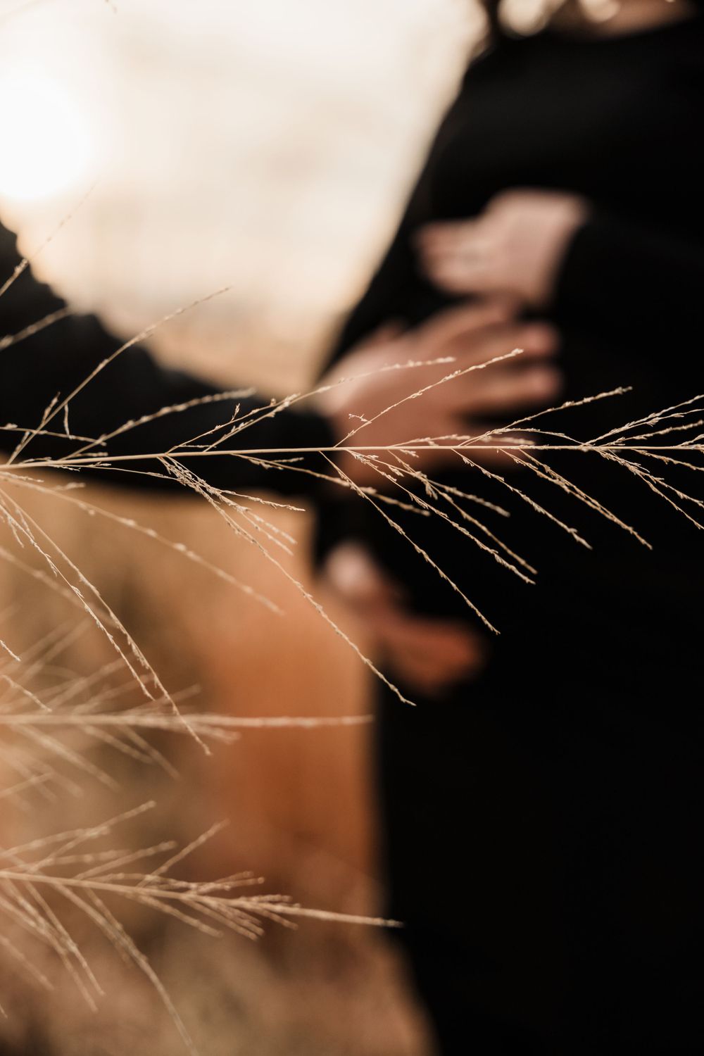 Artistic shot of dried grass stalks with blurred black figure in background.