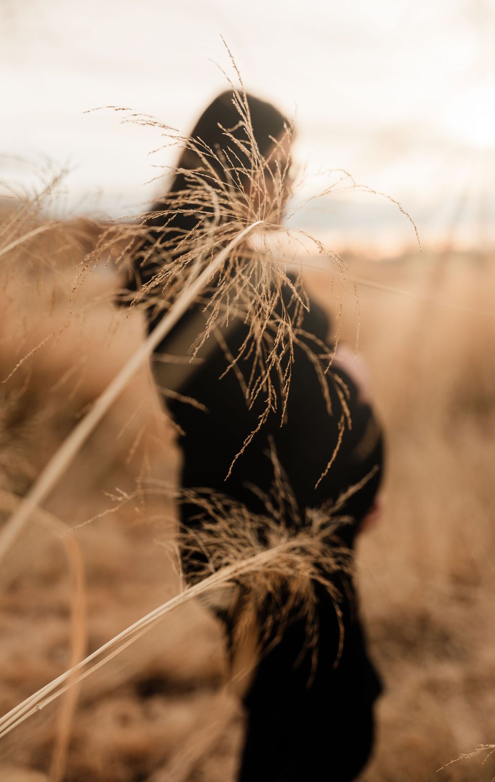 Silhouette of pregnant figure among tall grass in golden afternoon light.
