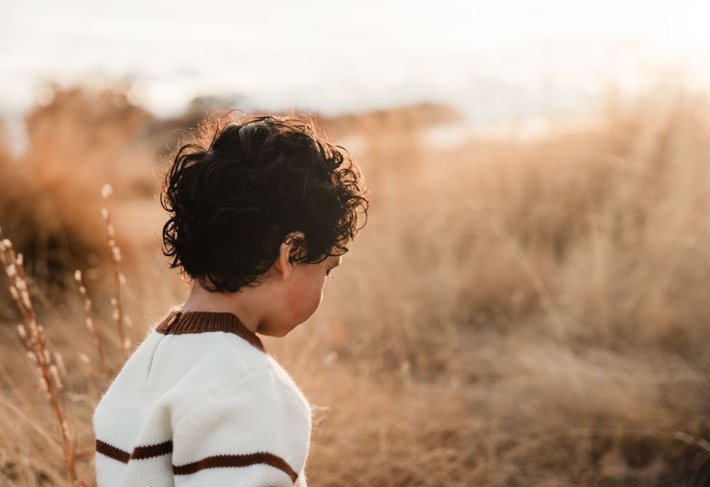 Silhouettes of tender family moments against a warm sunset sky.