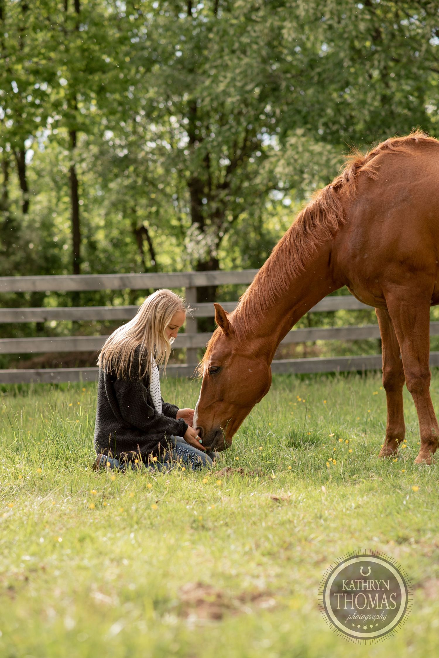 A chestnut horse gently interacts with someone sitting in a grassy paddock surrounded by wooden fencing.