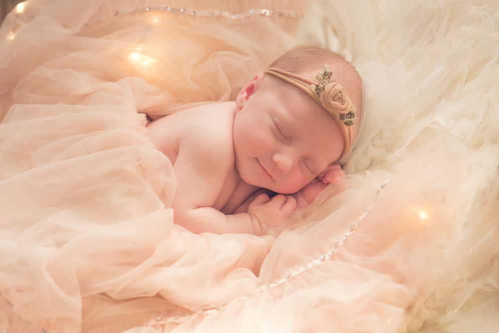 Sitting Pretty Photography Home Page Image 9