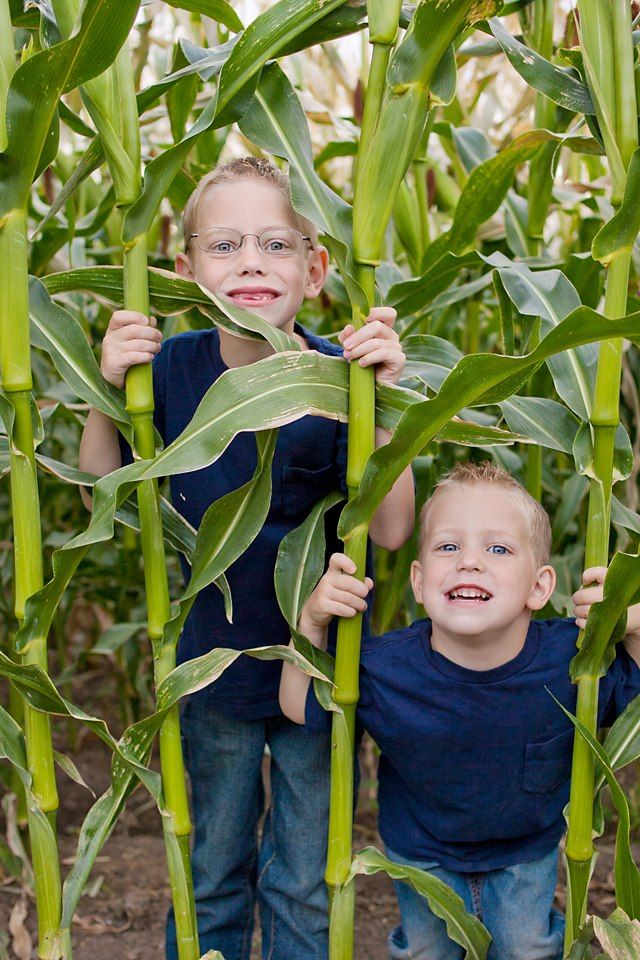 Two children playing and smiling between tall green corn stalks in a field.