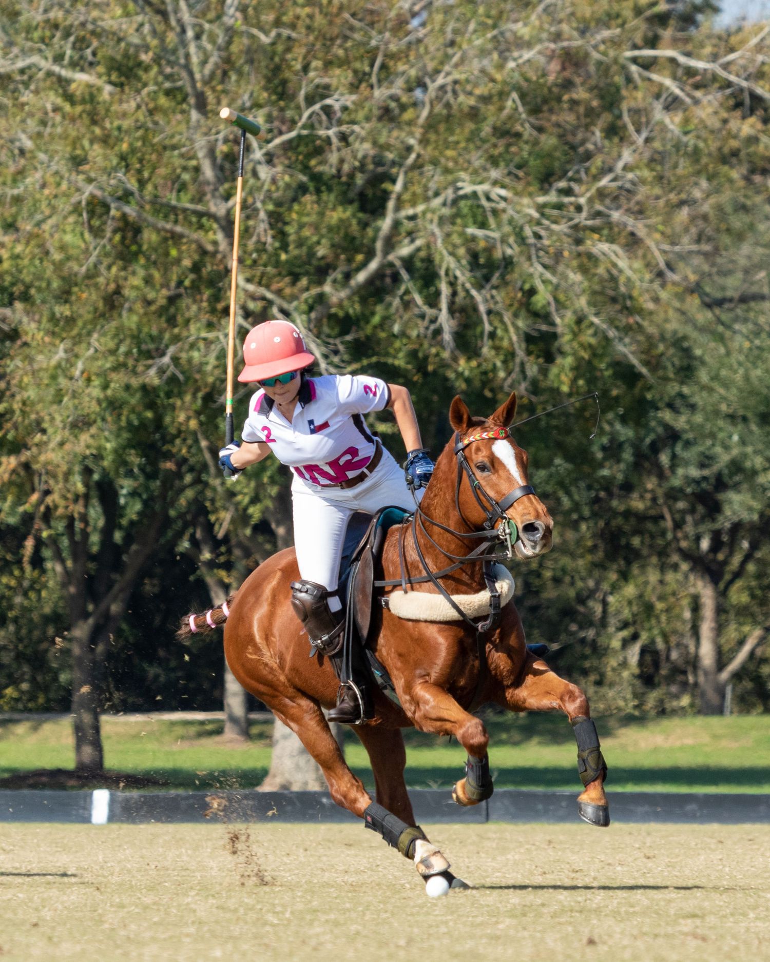Polo