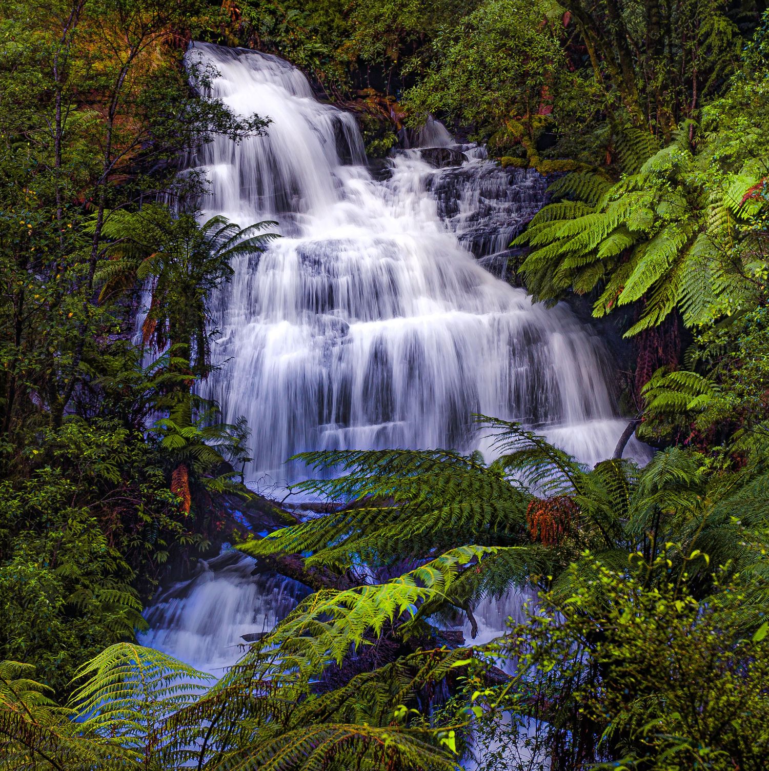 The Otways