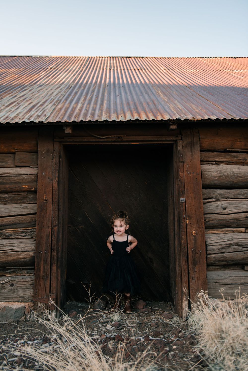A figure stands in the entrance of a weathered log cabin with dried grass in the foreground.