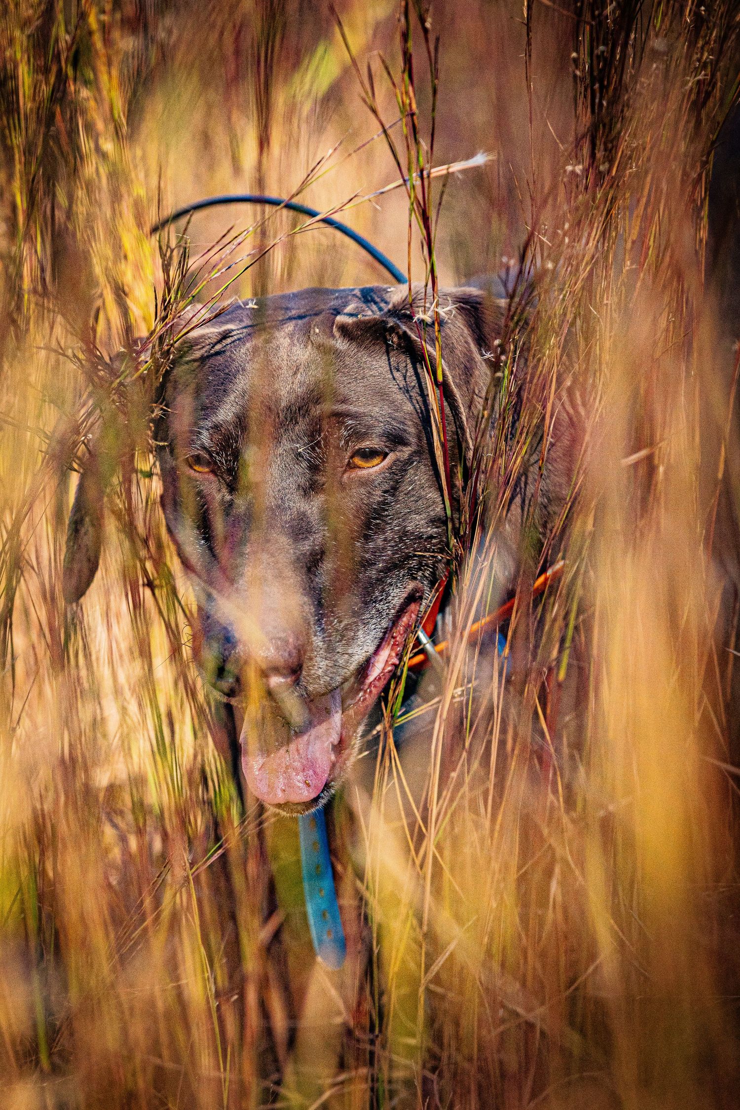 Shoot Like a Girl, Mason Jar Photography and Beretta Firearms celebrating 500 years!